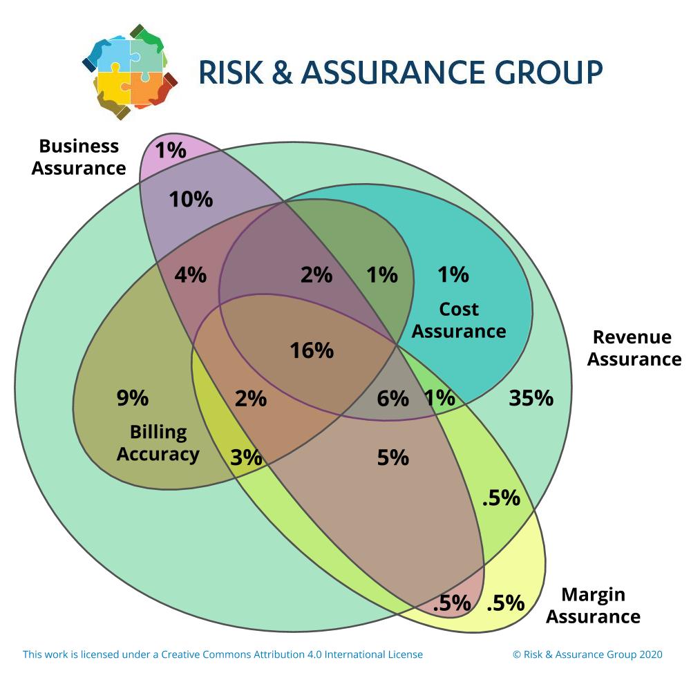 Overlap for Assurance Functions RAFM Infographic